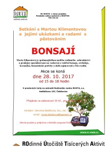 Bonsaje-page-001 (2) (1)